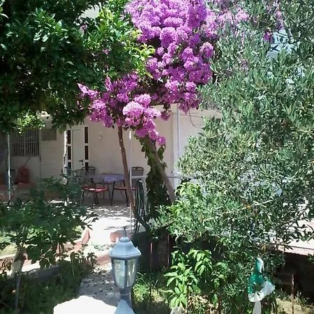 Hébergement de vacances Bungalov Vlado Trogir